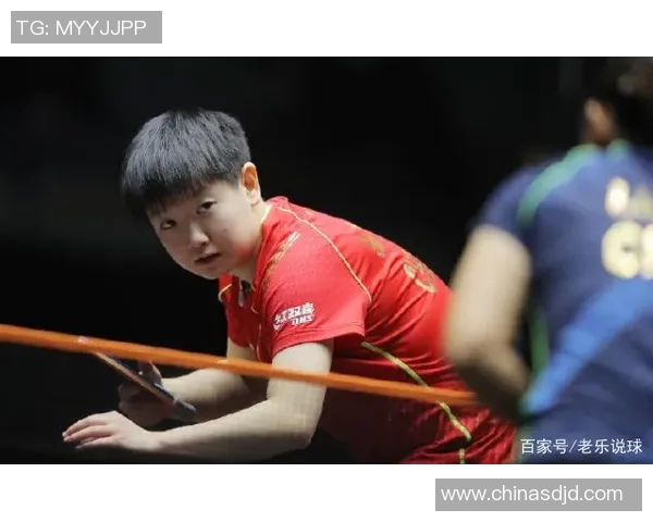 杭州乒乓球队在联赛中的速度表现分析与战术探讨